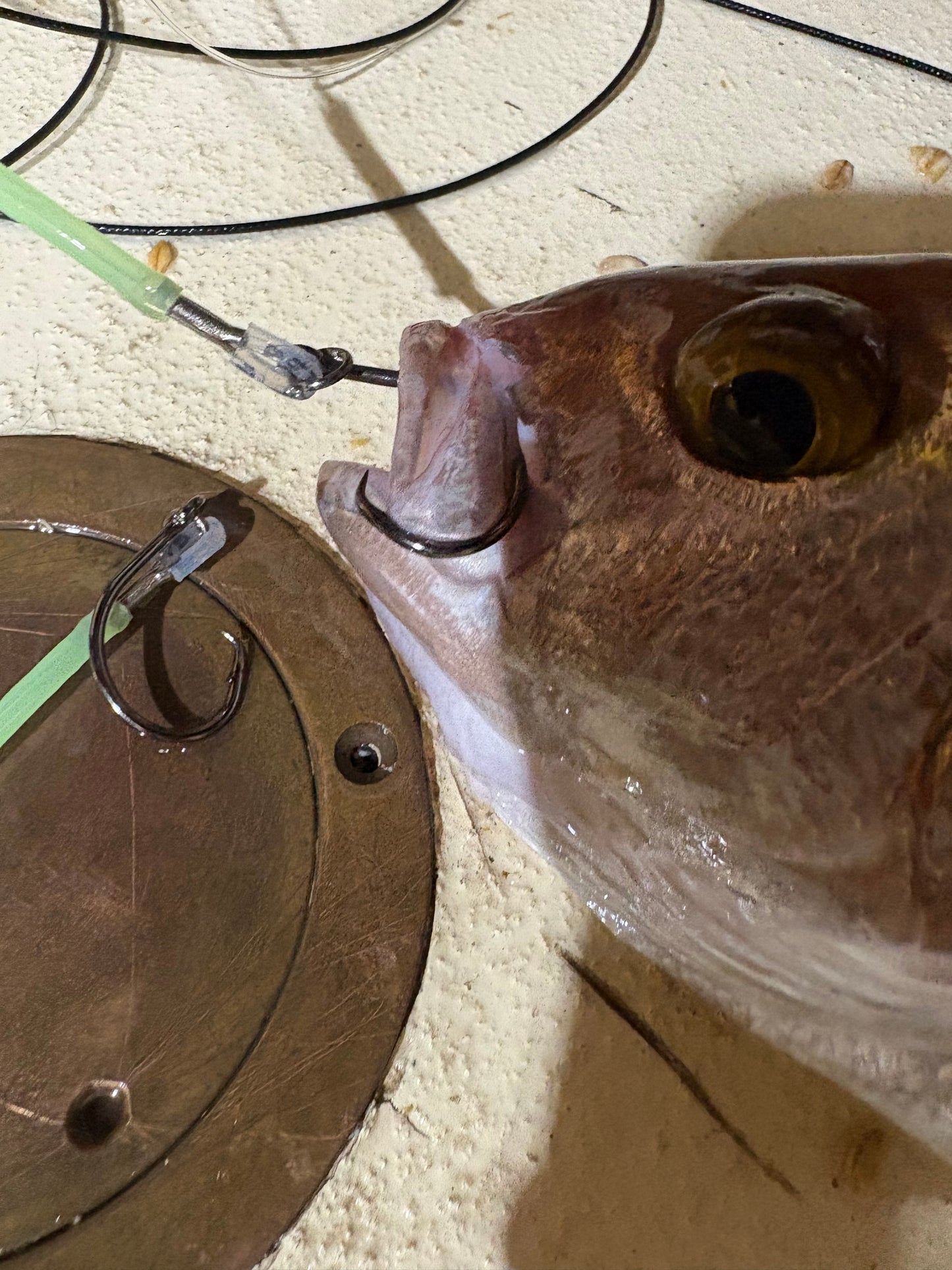 44. 8/0 Ringed Circle Hooks (3 Qty)